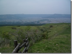 IMGP0959